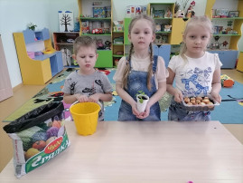 Всероссийский день Эколят в группе №9 Всероссийский день Эколят в группе №9.